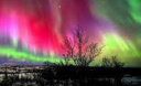 Aurora E1516 E2520