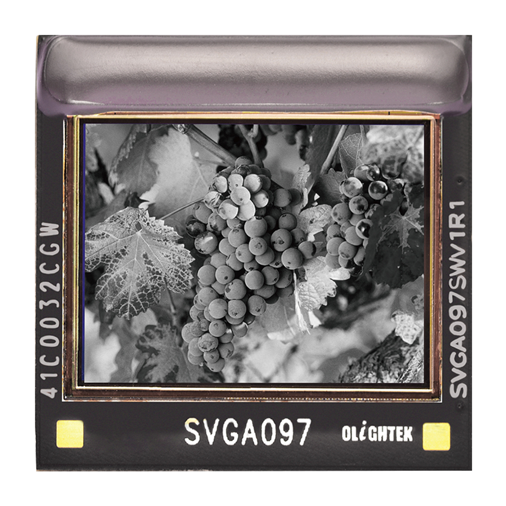 SVGA097